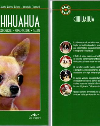 CANI DI RAZZA - CHIHUAHUA - FALSINA / TOMASELLI