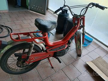ciclomotore