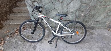 bicicletta ritiro  novara 