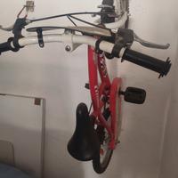 Bicicletta Cars bambino/a