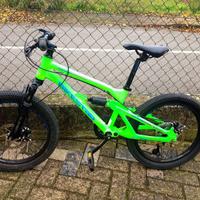 Mtb bambino
