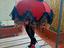 Immagine 6