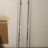2 canne carpfishing