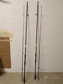 2 canne carpfishing