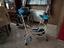 Immagine 1