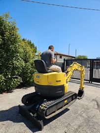 E248-Escavatore Ihimer 12 JX girosagoma