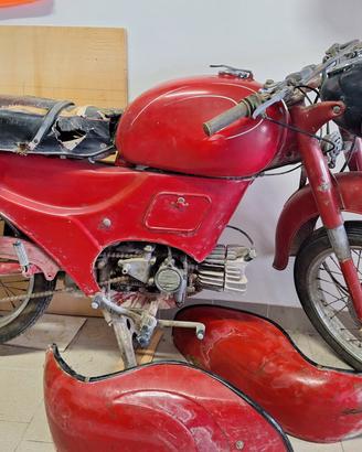 Guzzi Zigolo