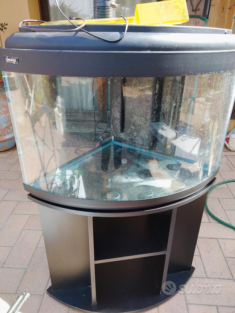 acquario angolare curvo