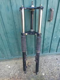 forcella e ammortizzatori Garelli Gary 1