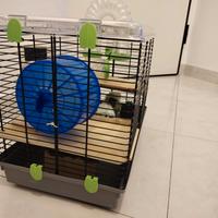 Gabbia per Piccoli roditori ,criceti,  cavie.