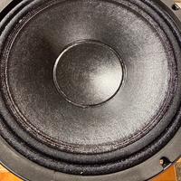 B&C Speakers  10NDL64-8 in scatola