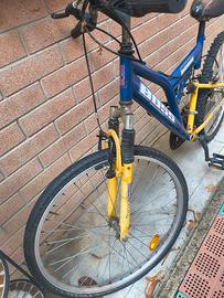 bicicletta da sistemare