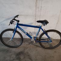 MTB obiso