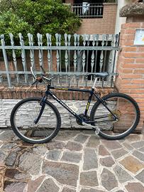 Mountain bike   uomo 26"