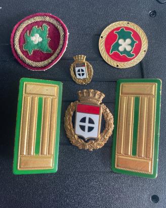 Fregi e Mostrine Vintage Polizia Municipale