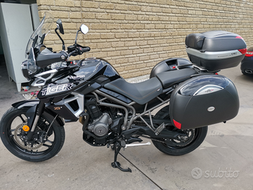 Triumph Tiger 800 - 36.000 km - perfette condizion