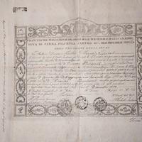 Antica Laurea in Farmacista Anno 1859 rara