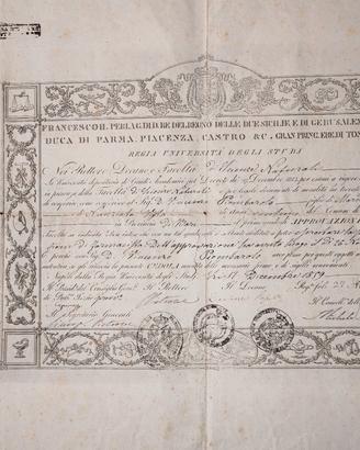 Antica Laurea in Farmacista Anno 1859 rara