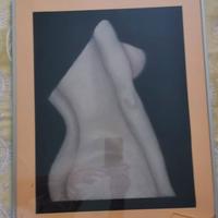 Dipinto tipo gessetto