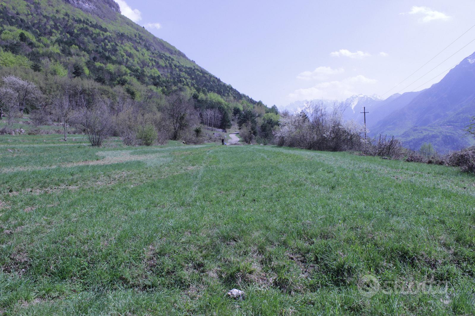Splendido prato immerso nel verde e soleggiato - Vista 2