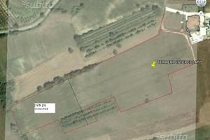 Terreno agricolo Pignataro Interamna FR