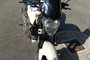 STUPENDA SHIVER 2009