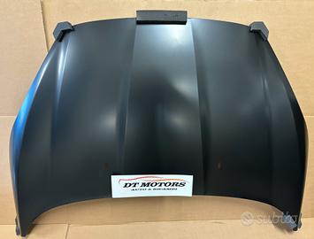 Cofano Ford Fiesta MK VI 13/17