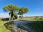 Immagine 15