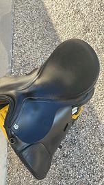 Sella dressage