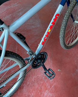 Mountain bike