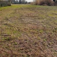 Terreno agricolo località Porto viro