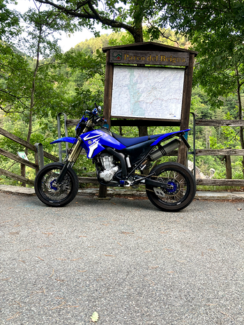 Yamaha WR 250 X