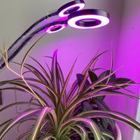 Luce a led blu e viola per piante e acquario
