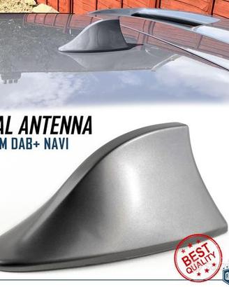Antenna PINNA SQUALO Grigia Universale V Ricezione