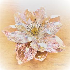 Swarovski, ninfea WATERLILY ROSALINE