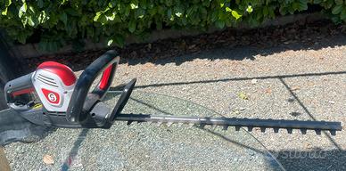 TAGLIASIEPI ELETTRICO - Sterwins EHT2-50.31