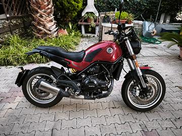 Benelli Leoncino 500 trail