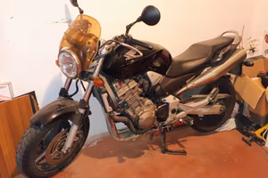 Hornet 900
