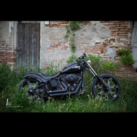 Harley Davidson Amatoriale