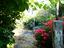 Immagine 18