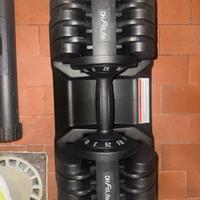 Set manubri regolabili