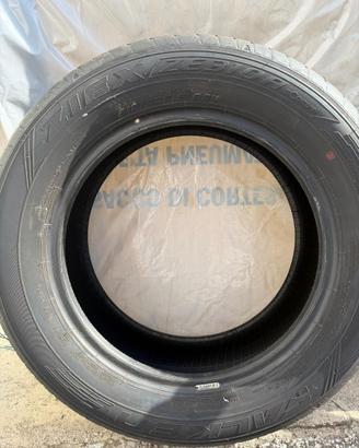 Gomme estive r 16