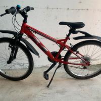 Bici bambino taglia 24