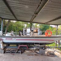 Boston Whaler 17