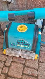 dolphin piscina 