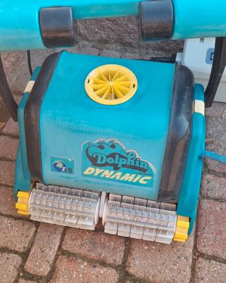 dolphin piscina 
