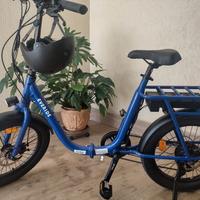 bici elettrica 