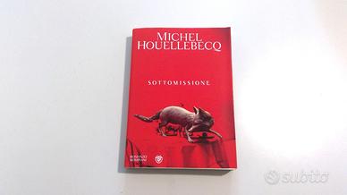 Sottomissione: Conflitto tra Islam e Cristianesimo