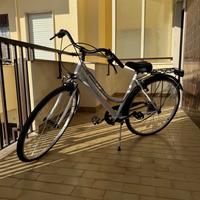 Bicicletta Denver TREK