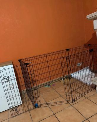 Recinto kennel per cani da interno